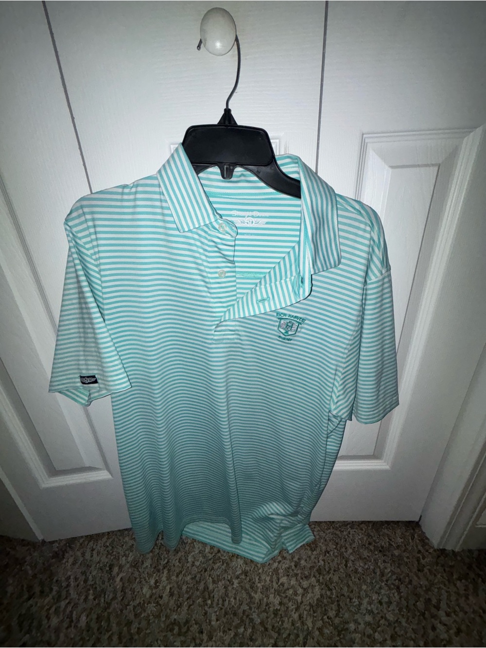 Men's Striped Mint Polo Shirt with Subtle Chest Emblem